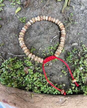 Natural Lotus Seeds Bracelets