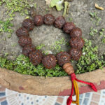 Antique-Rudraksha-Mala,-Rudraksha-Bracelet