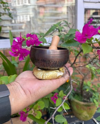 Hammered Antique Look Singing Bowl